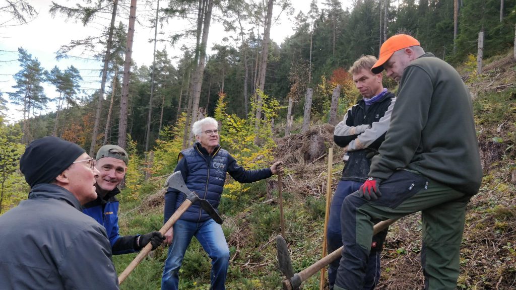 Laufwald